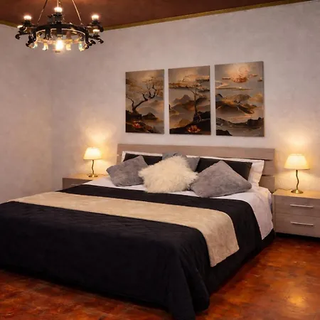 Terra E Cuore - Tra I Sassi E Il Sole